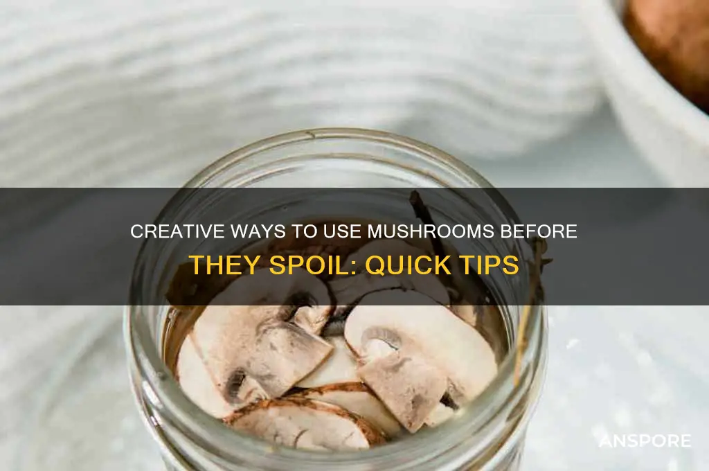 what can i do mushrooms before they go bad