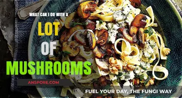 Creative Ways to Use an Abundance of Mushrooms in Your Kitchen