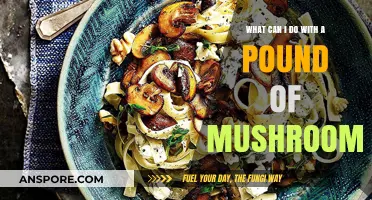 Creative Ways to Use a Pound of Mushrooms in Delicious Recipes