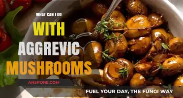 Creative Uses for Aggrevic Mushrooms: Delicious Recipes and Beyond