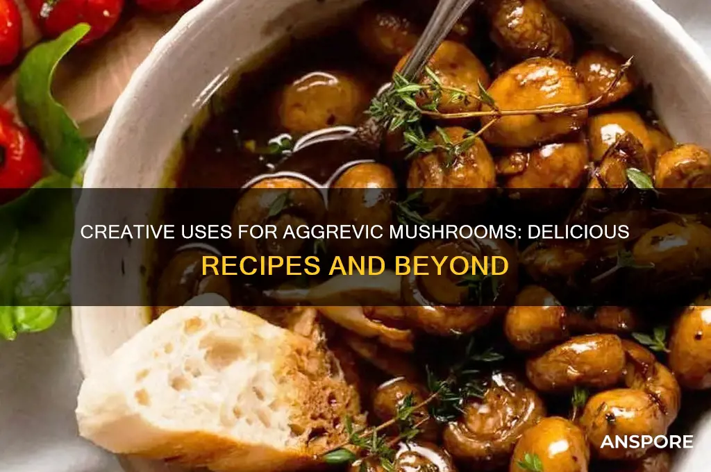 what can i do with aggrevic mushrooms