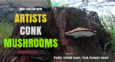 Creative Uses for Artists Conk Mushrooms: From Art to Healing