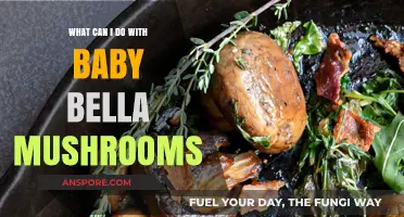 Delicious Baby Bella Mushroom Recipes and Creative Cooking Ideas