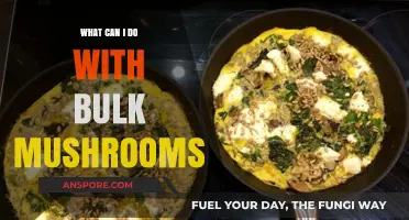 Creative Ways to Use Bulk Mushrooms in Cooking and Beyond