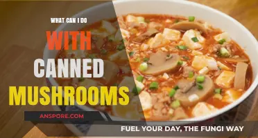 Creative Ways to Use Canned Mushrooms in Everyday Cooking