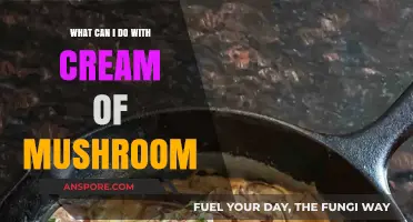 Cream of Mushroom Magic: Versatile Recipes and Creative Uses