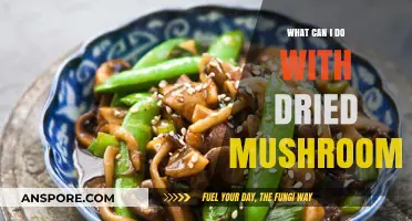 Creative Uses for Dried Mushrooms: Recipes, Storage, and Flavor Tips