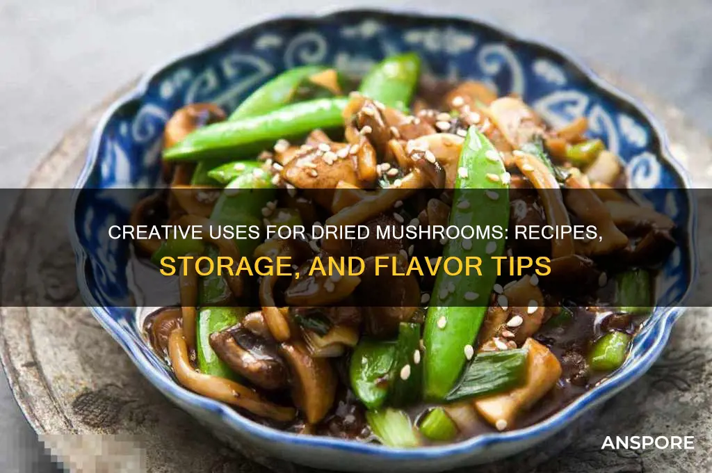 what can i do with dried mushrooms