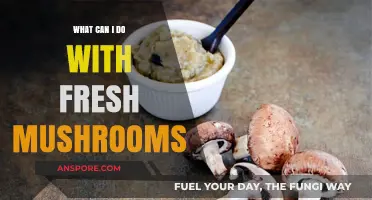 Creative Ways to Use Fresh Mushrooms in Your Daily Cooking