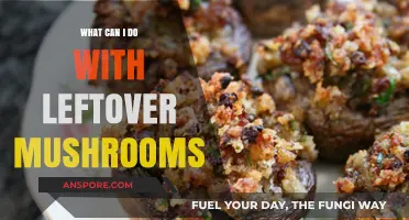 Creative Ways to Use Leftover Mushrooms in Delicious Recipes
