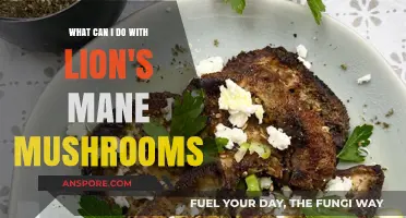Lion's Mane Mushrooms: Creative Uses, Health Benefits, and Culinary Ideas