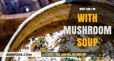 Creative Ways to Use Mushroom Soup in Delicious Recipes