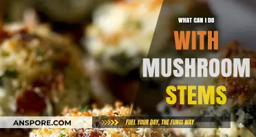 Creative Uses for Mushroom Stems: Delicious Recipes and Beyond