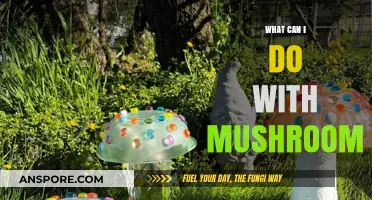 Exploring Mushroom Magic: Creative Uses for Cooking, Health, and Beyond