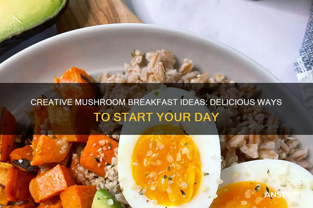 what can i do with mushrooms for breakfast
