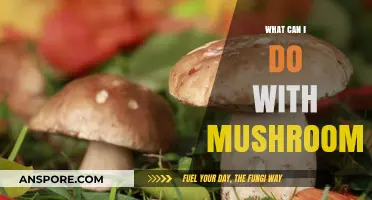 Exploring Mushroom Magic: Creative Uses Beyond the Kitchen