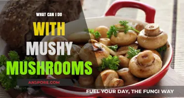 Reviving Mushy Mushrooms: Creative Ways to Use Soft Fungi