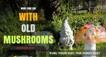 Creative Ways to Repurpose Old Mushrooms: Tips and Ideas