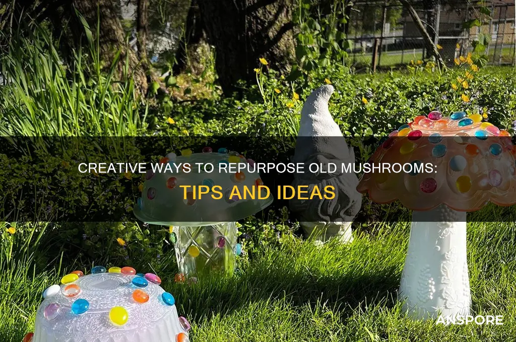 what can i do with old mushrooms