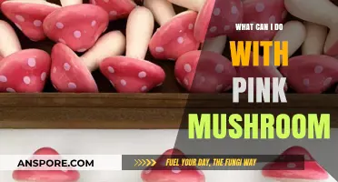Creative Uses for Pink Mushrooms: Recipes, Crafts, and Decor Ideas