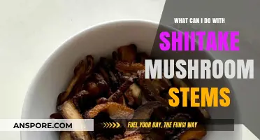 Creative Uses for Shiitake Mushroom Stems: Delicious Recipes & Tips