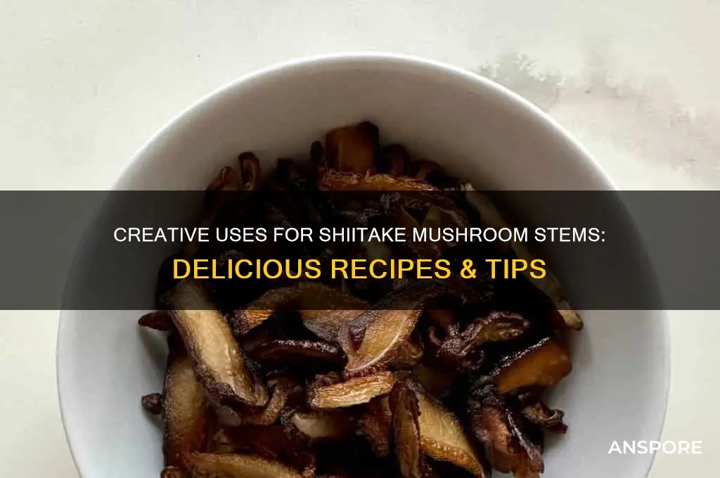 what can i do with shiitake mushroom stems