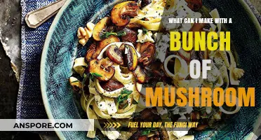 Creative Mushroom Recipes: Transforming a Bunch into Delicious Dishes