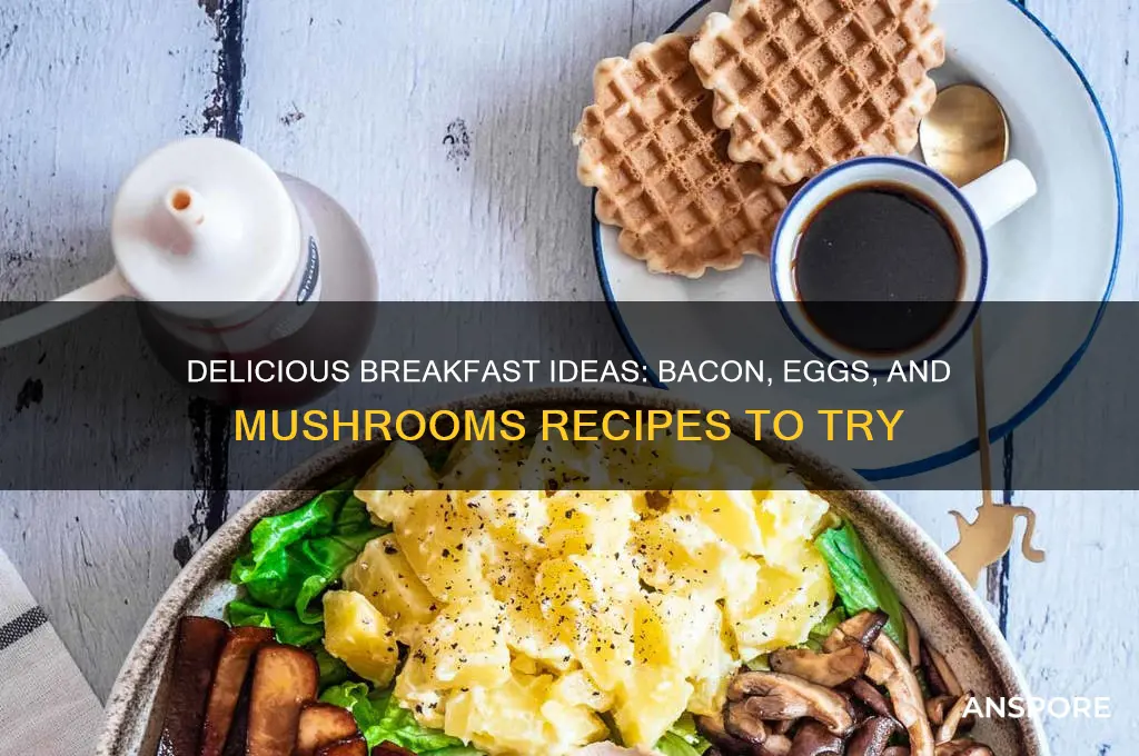 what can i make with bacon eggs and mushrooms