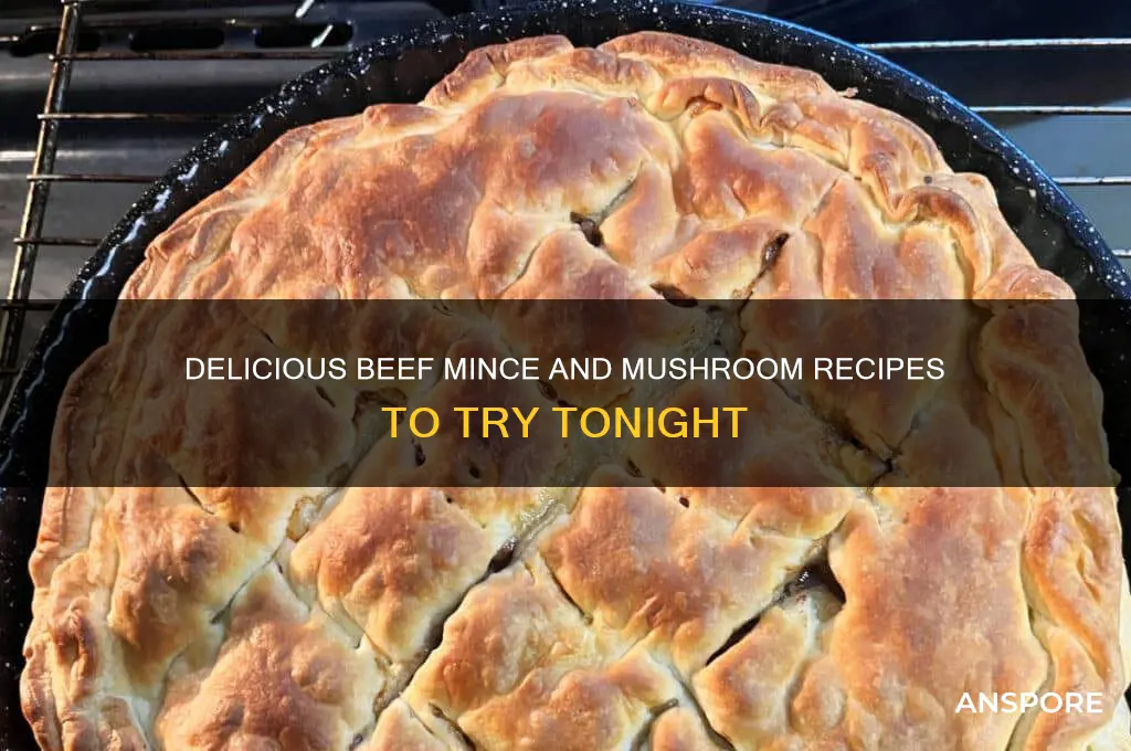 what can i make with beef mince and mushrooms