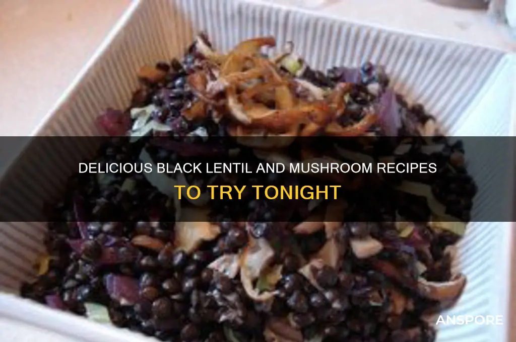 what can i make with black lentils and mushrooms