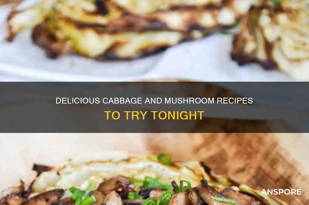 what can i make with cabbage and mushrooms