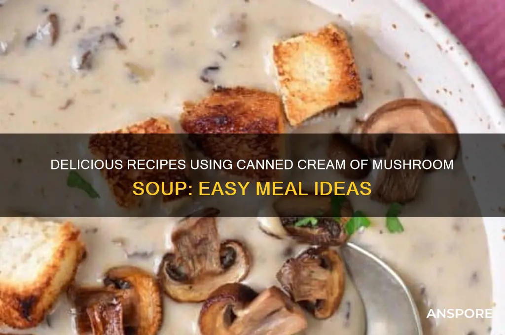 what can i make with canned cream of mushroom soup
