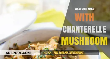 Delicious Chanterelle Mushroom Recipes: Creative Culinary Ideas to Try Today