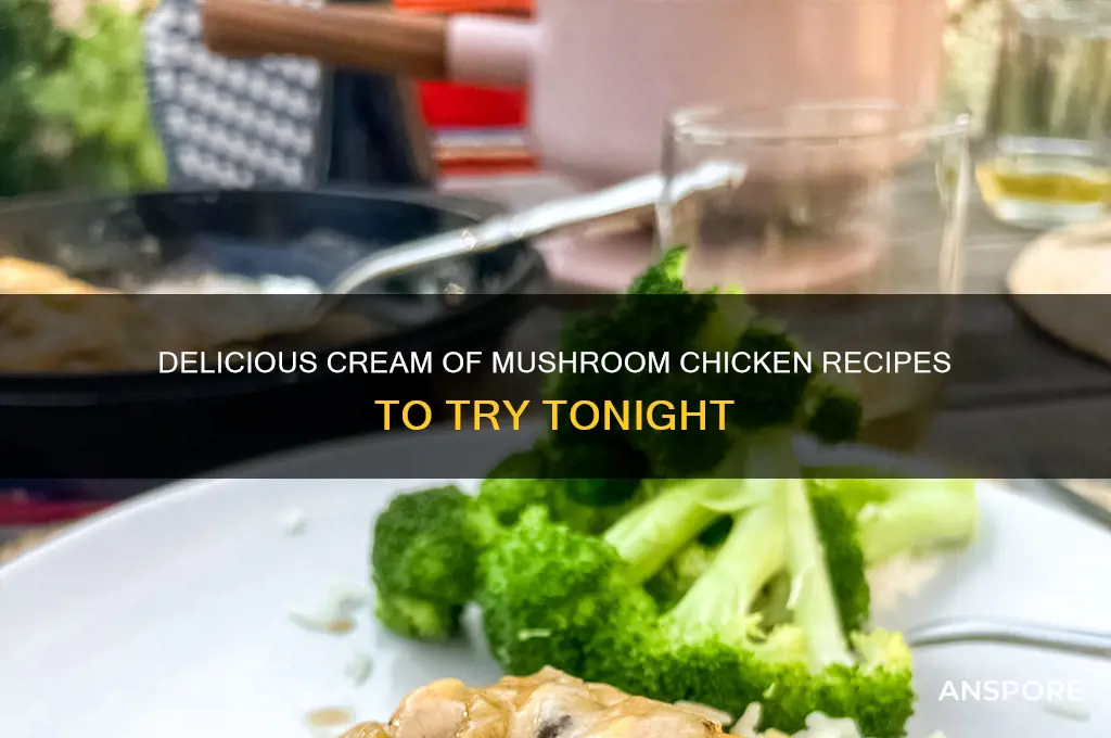 what can i make with chicken and cream of mushroom