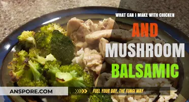 Delicious Chicken and Mushroom Balsamic Recipes to Try Tonight