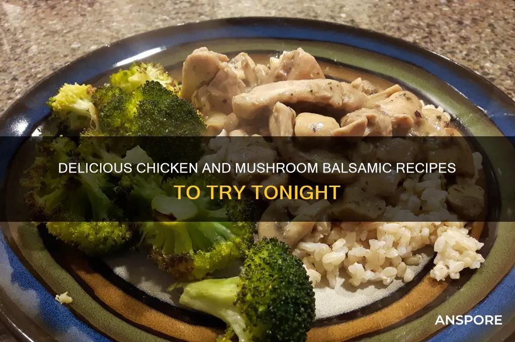 what can i make with chicken and mushrooms balsamic