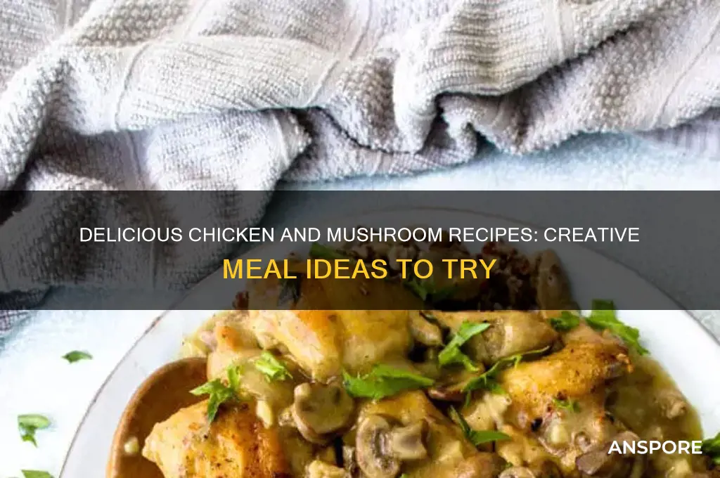 what can i make with chicken and mushrooms