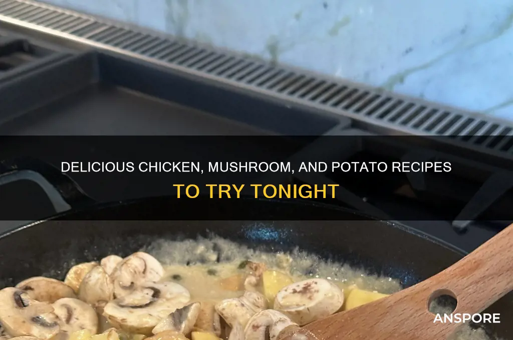 what can i make with chicken mushrooms and potatoes