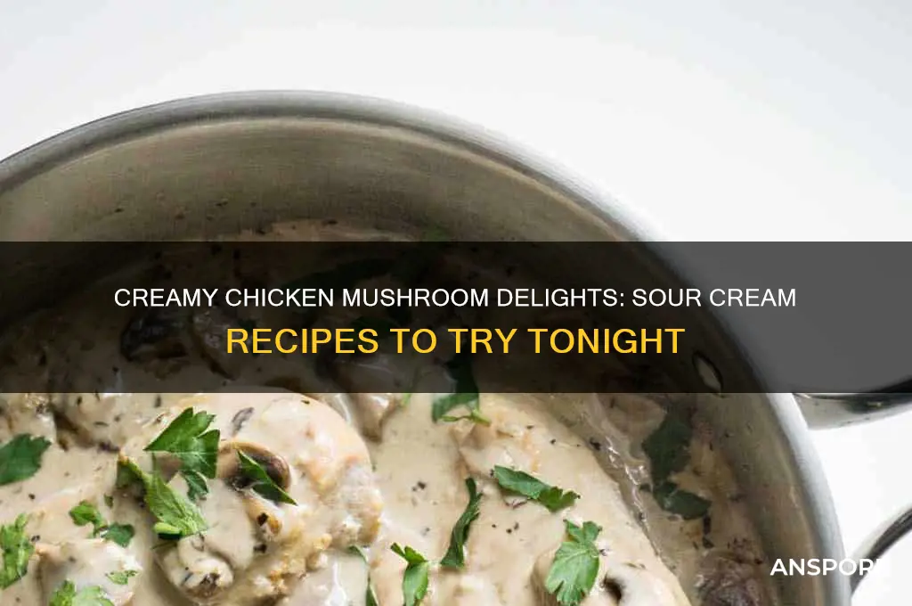 what can i make with chicken mushrooms sour cream