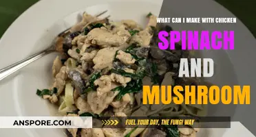 Delicious Chicken, Spinach, and Mushroom Recipes to Try Tonight