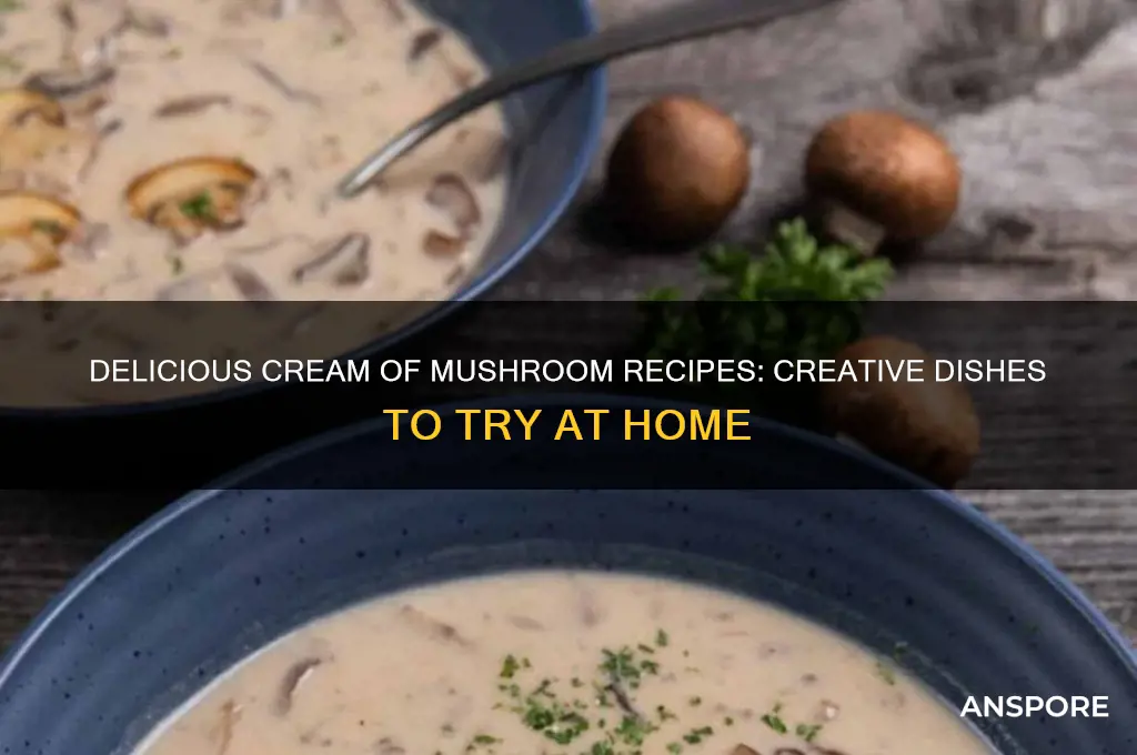 what can i make with cream of mushroom