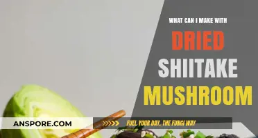 Delicious Dried Shiitake Mushroom Recipes to Elevate Your Cooking Game