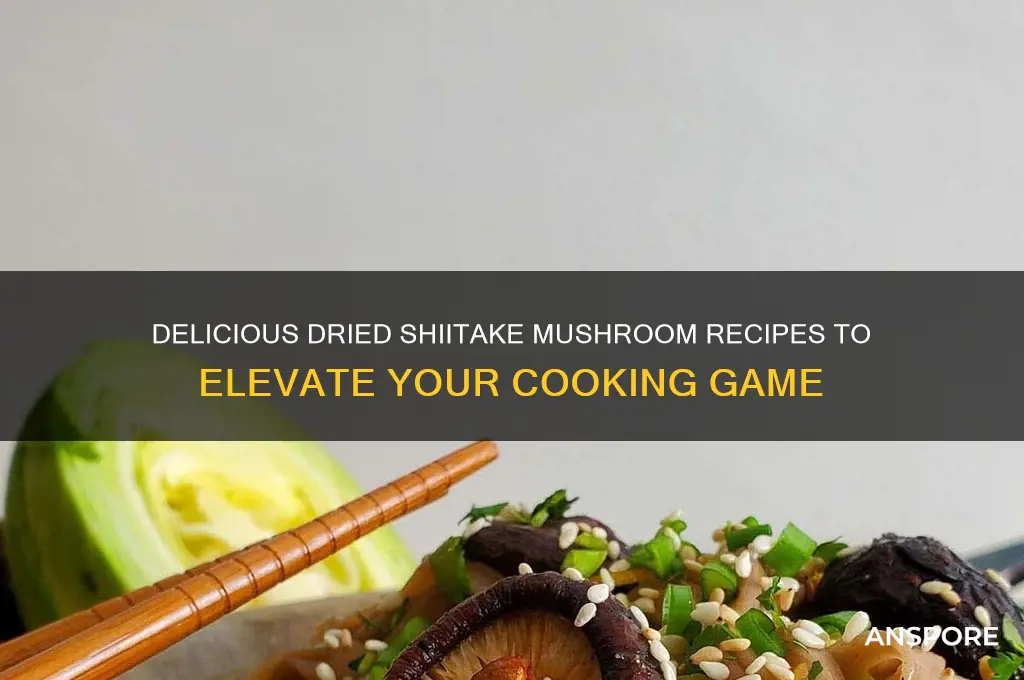 what can i make with dried shiitake mushrooms