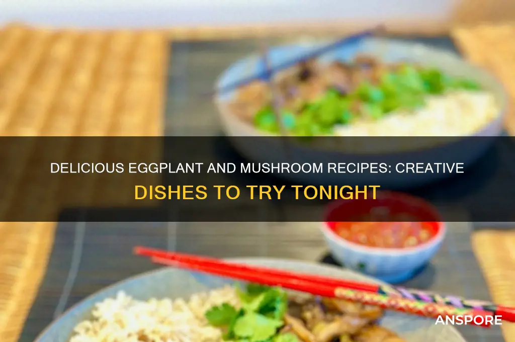 what can i make with eggplant and mushrooms