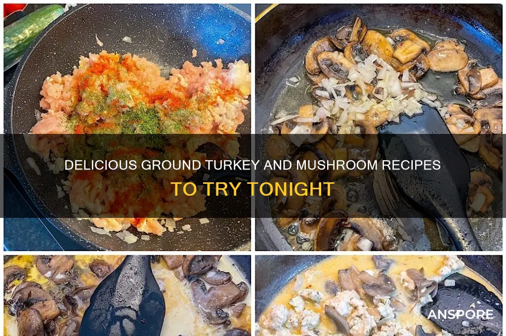 what can i make with ground turkey and mushrooms
