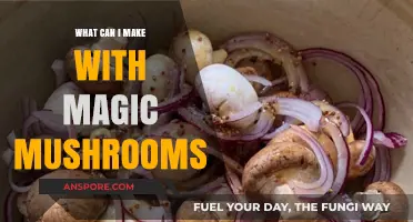 Creative Uses for Magic Mushrooms: Recipes, Remedies, and Rituals