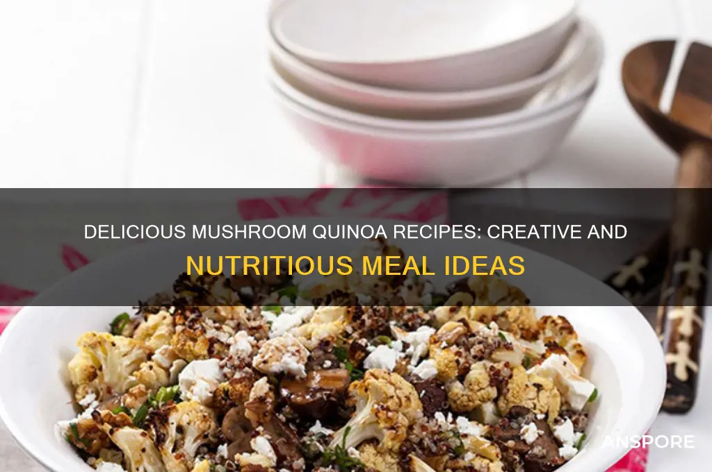 what can i make with mushrooms and quinoa