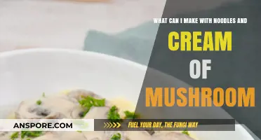 Creamy Mushroom Noodle Recipes: Easy, Delicious, and Comforting Meal Ideas
