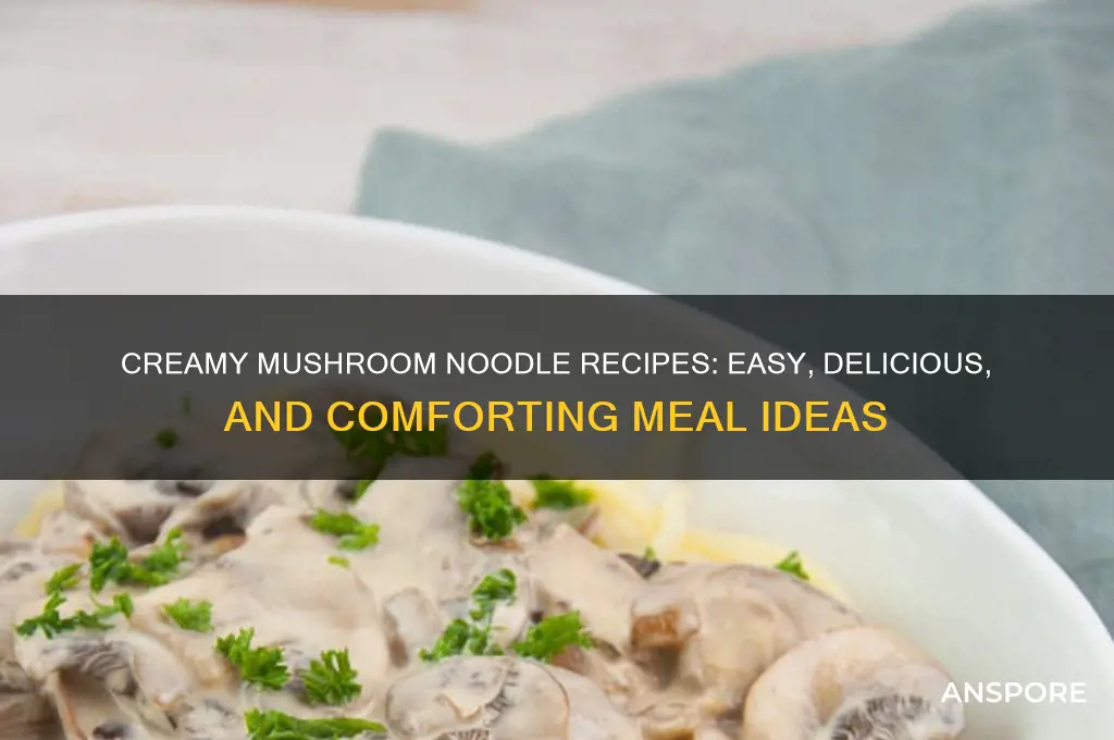 what can i make with noodles and cream of mushroom