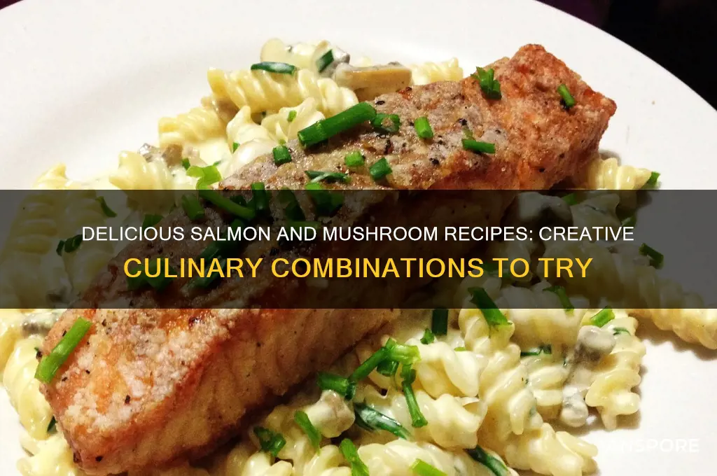 what can i make with salmon and mushrooms